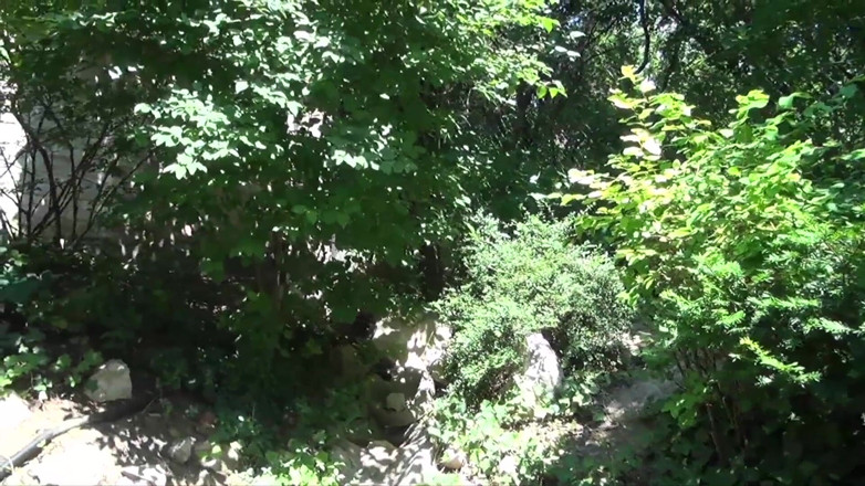 Cum Outdoor: Shameless sex with stepsister in the park