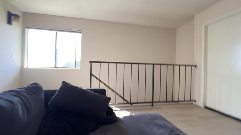 Dante Colle: Liefermädchen bekommt großes trinkgeld