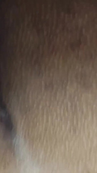 Indian Hot Cute Girl Home Maid Sex Video Mumbai 