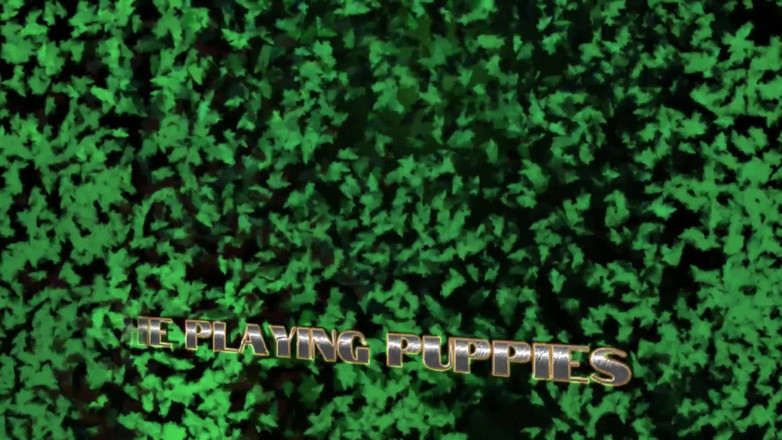 The Playing Puppies: Playing Puppies the Second Examination