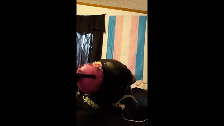 Roxxie rae page: Бондаж кролика