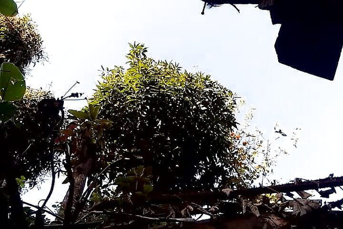 Gangbang straight: Pișă dimineața