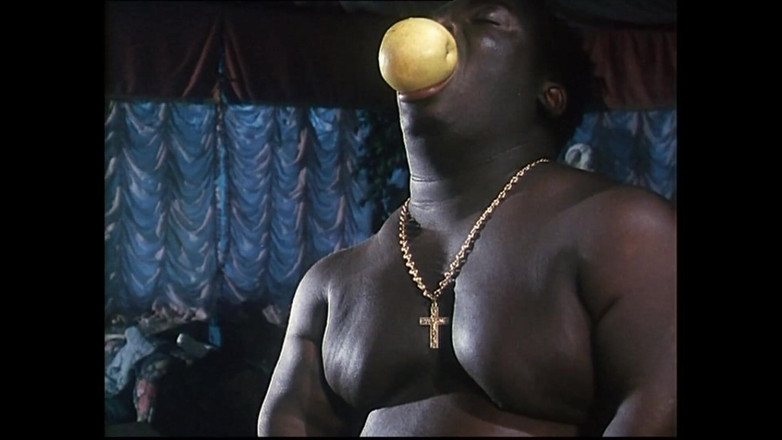 Vintage X: Routen und Hintergründe Szene 1