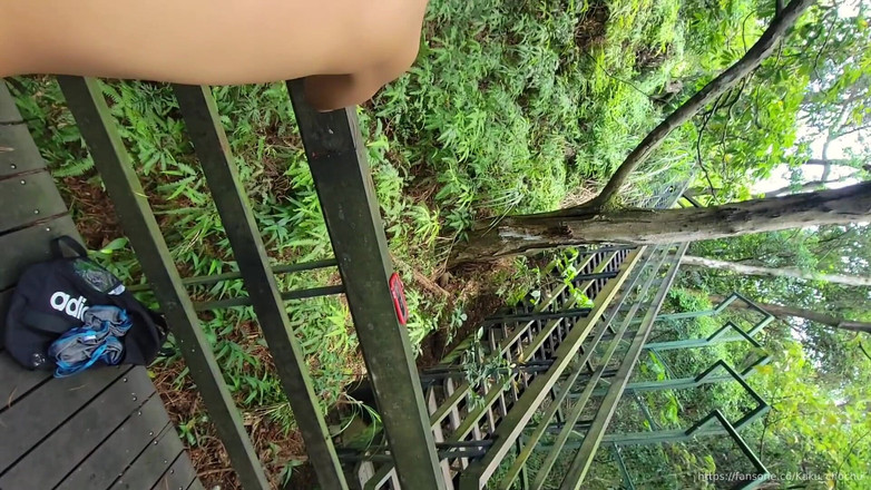 Calven: Жизнь открывает дикие пушки в горах