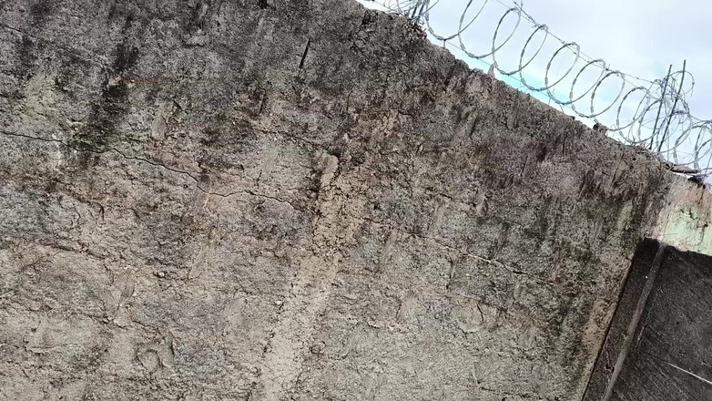 carmonaoficial: 外でクマとヤッて、あの野郎の尻を搾り取った