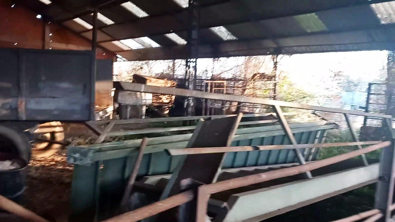 RedLili: La ragazza trans rossa succhia il cazzo di papà all'aperto