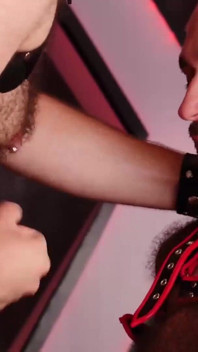 BEARFILMS, kahler bärtiger bärtiger bär dominiert schwulen haarigen hintern