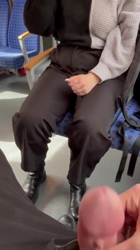 Stranger Showed Me His Dick in Train