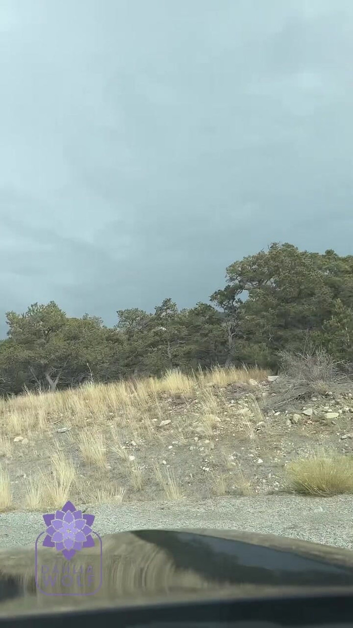 Dahlia Wolf: हॉट टब लंड चुसाई और स्तनों पर वीर्य