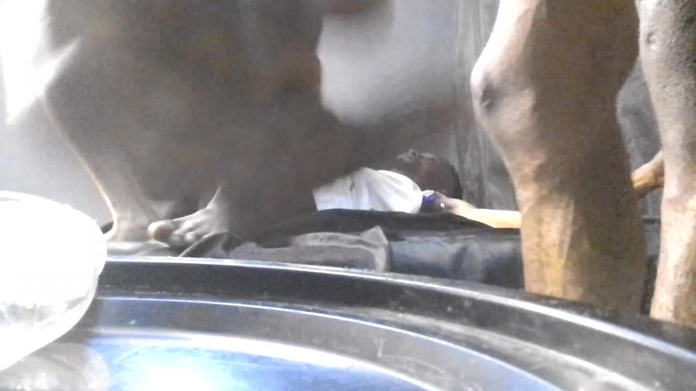 That's_black: Tentanttalex