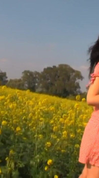 Fucked in a wheat field