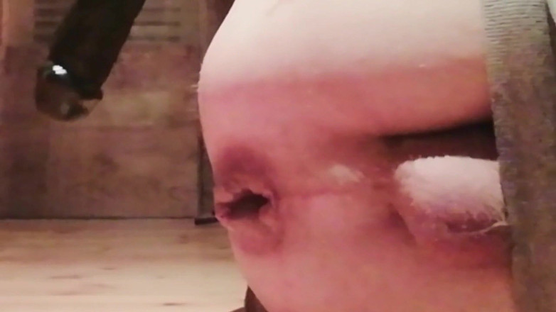 Culopeke: Po představení tří mléčných ptáků