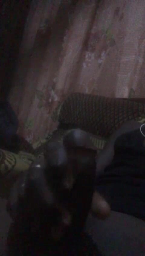 yobo1nene: Amadu