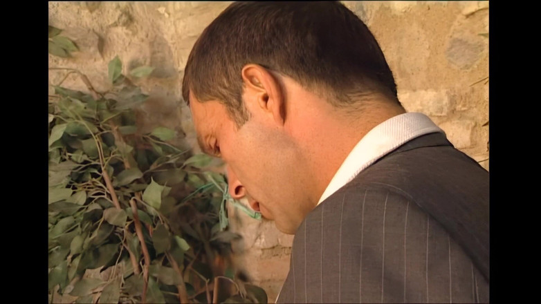 Shemale exstasy: Chupação deliciosa