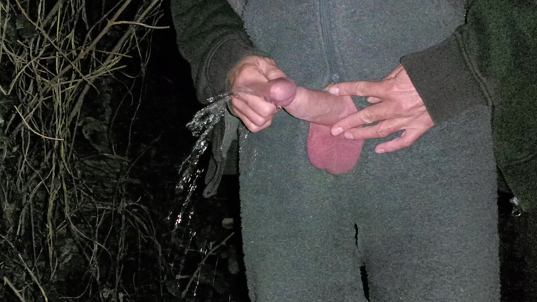 Rockardglans: Velký nesestříhaný pták Chcaní Honění a Cumming v lese Wearing...