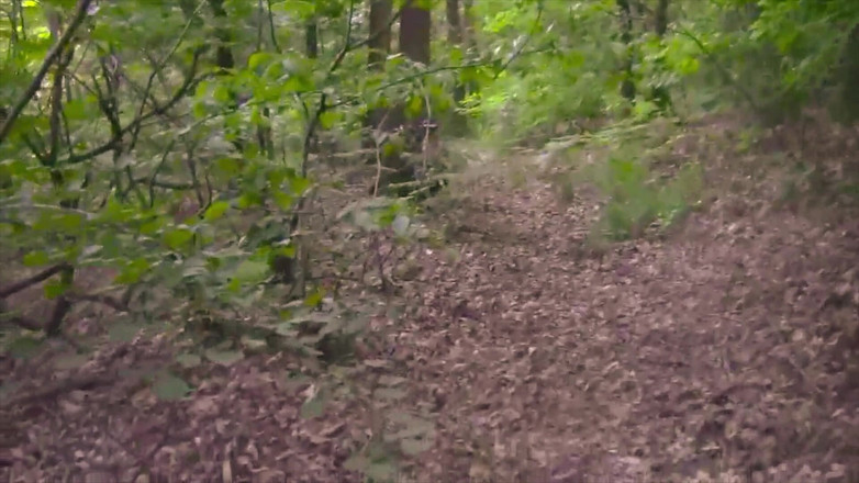 BELLOeBIOTTO: Pěkný a dlouhý výstřik, bez trička, ve veřejném lese