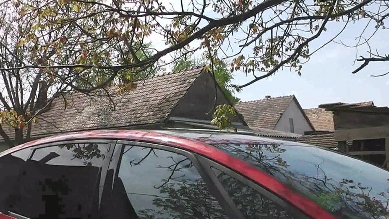 Popp Sylvie: I am pissing on my car