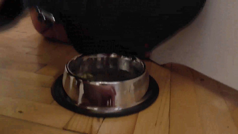 Femdom Austria: Sclava ajunge să-și lingă picioarele înainte de a mânca