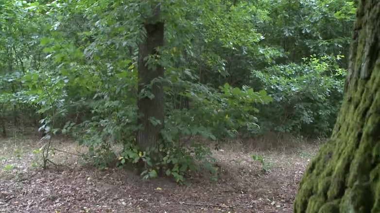 Deutschland porn: 두 전 애인이 다시 만난다