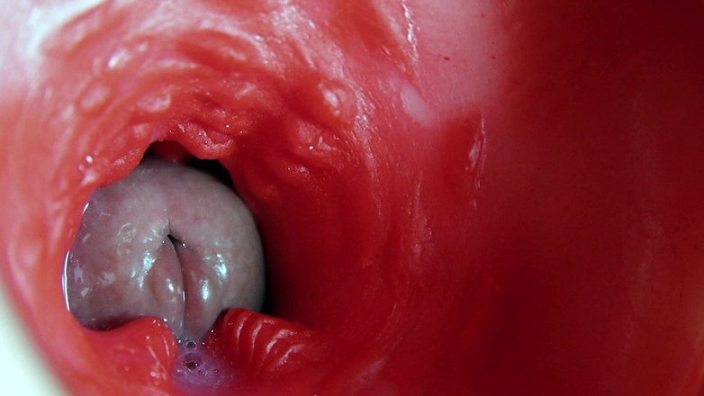 SEXY_GUYBEST: Camera asmr lỗ ướt át siêu chất lượng bên trong