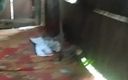 Crazy boy moment: Hintli çocuk desi yarakla oynuyor