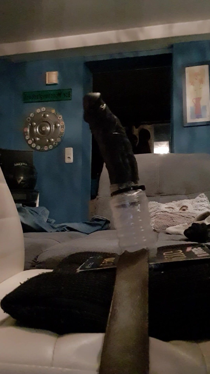 Fuck my ass studio: Give Me Hard