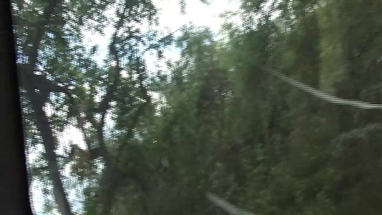 Just X Gays amateur porn: Sălbatic și liber: Doi oameni cedează poftei sub cerul deschis