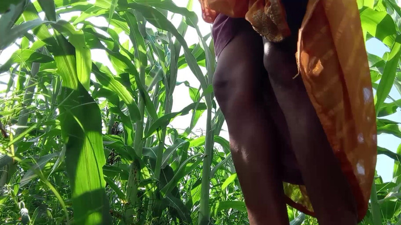 Treblsex: Зведена сестра, сядьте в поле індійського баджра і висушіть воду з бурроу.