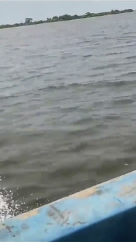 A Journey Through the Sea