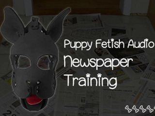 Camp Sissy Boi: Puppy Fetish Newspaper Training