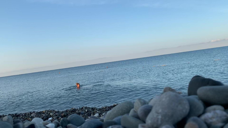 Monika Fox: Monika Fox simmar naken i havet