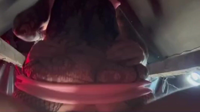 JessieRaexx: Sex Swing Quickie