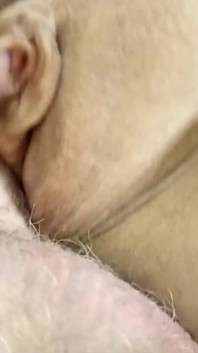 Горячая милфа Aimee - лучшая зрелая сучка в Интернете.!