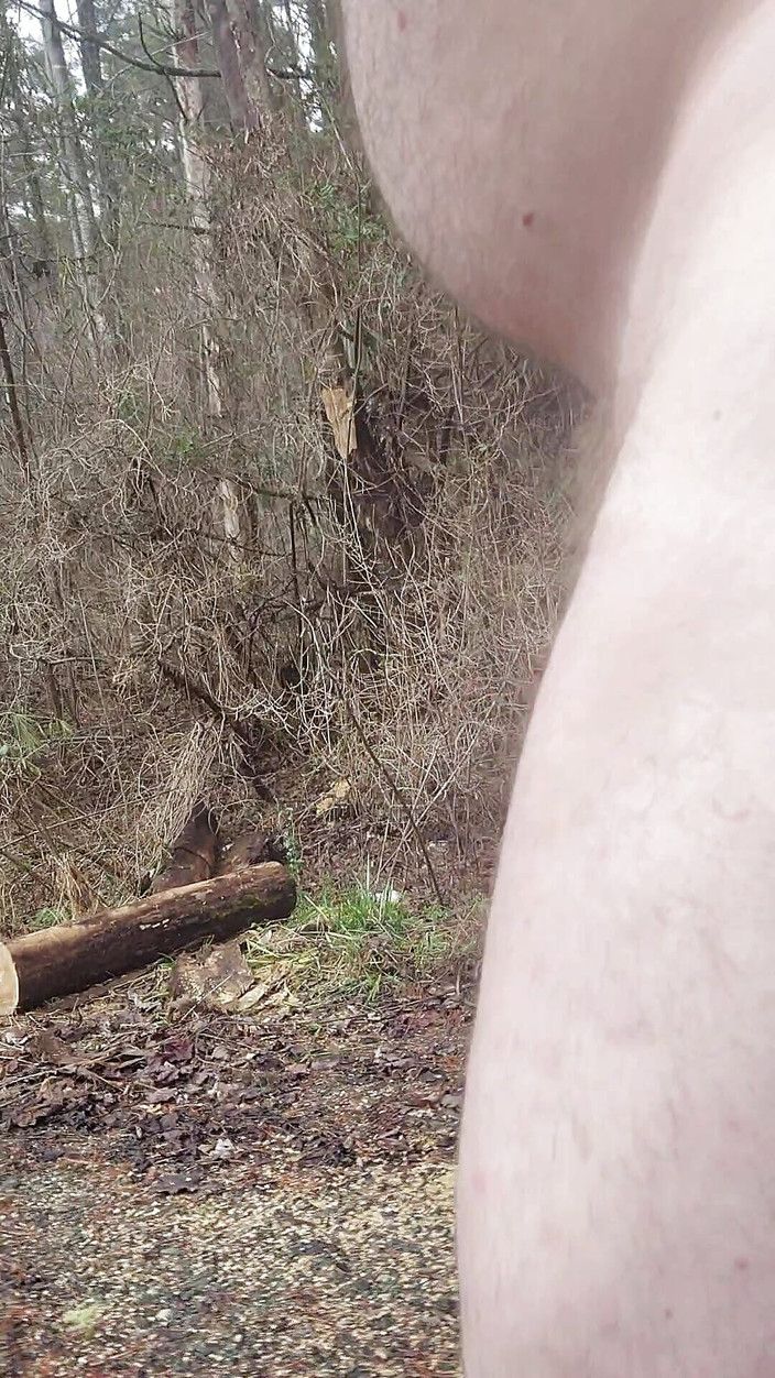 Djk31314: Ходьба по Старій дорозі.