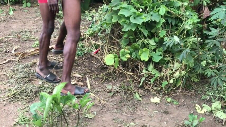 Sexydaddy: Sesso all'aperto nella fattoria