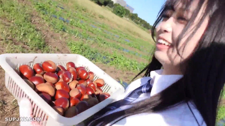 Studio Modern Shunga - JAV: Asian Angel - 16196