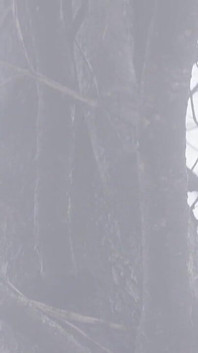 Naked in Nature