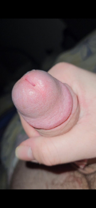 Fluffy Boi: Jen rychlé honění