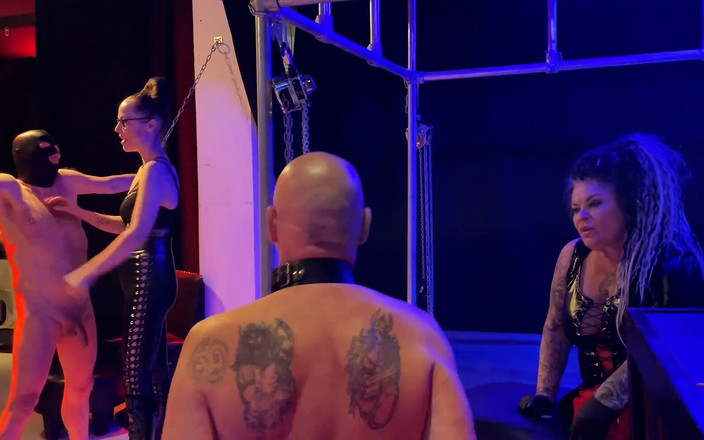 Domina Dark: Mercy My Domina