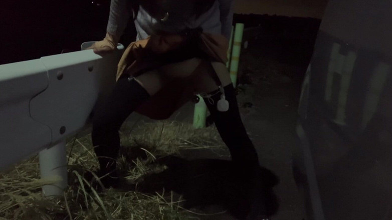 megu2002: स्वतंत्र प्रशिक्षण No32 रात की सैर पर डॉगी पोज़