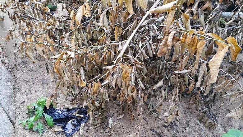 Bumba: Čůrání tvrdé tvrdé dobré tvrdé