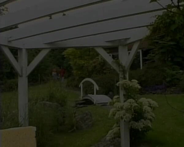 BB Video - Old School: Outdoor Teen Threesome FMM with Redhead and Double Penetration
