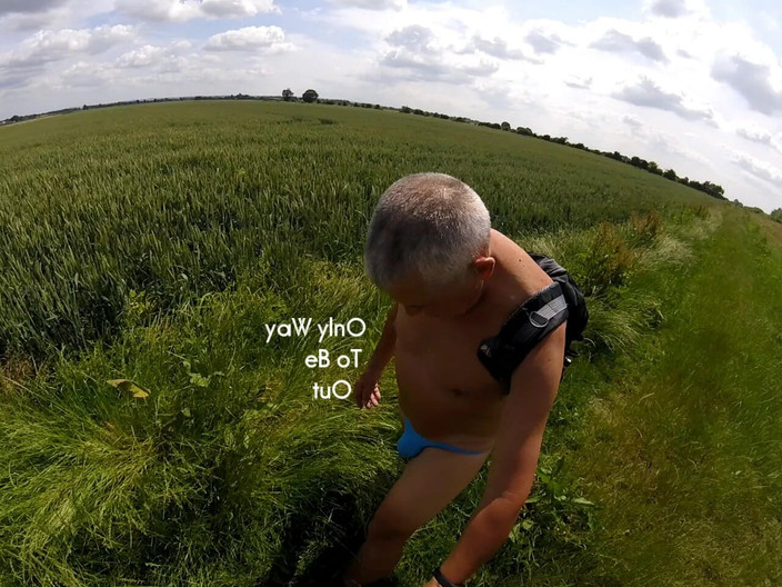 Andy: Прогулянка 38 2025