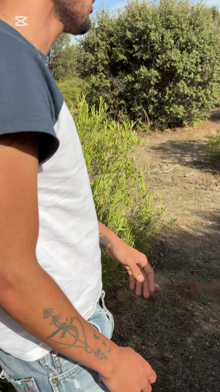 Mr. Pentacle: Perjalanan Berakhir Dengan Pelayaran