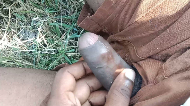 Generalcalculator9: Desi Cock