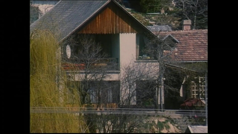 FM Video VOD: Milly D'abbraccio och Sara Young i: A Family for Penis - (original...