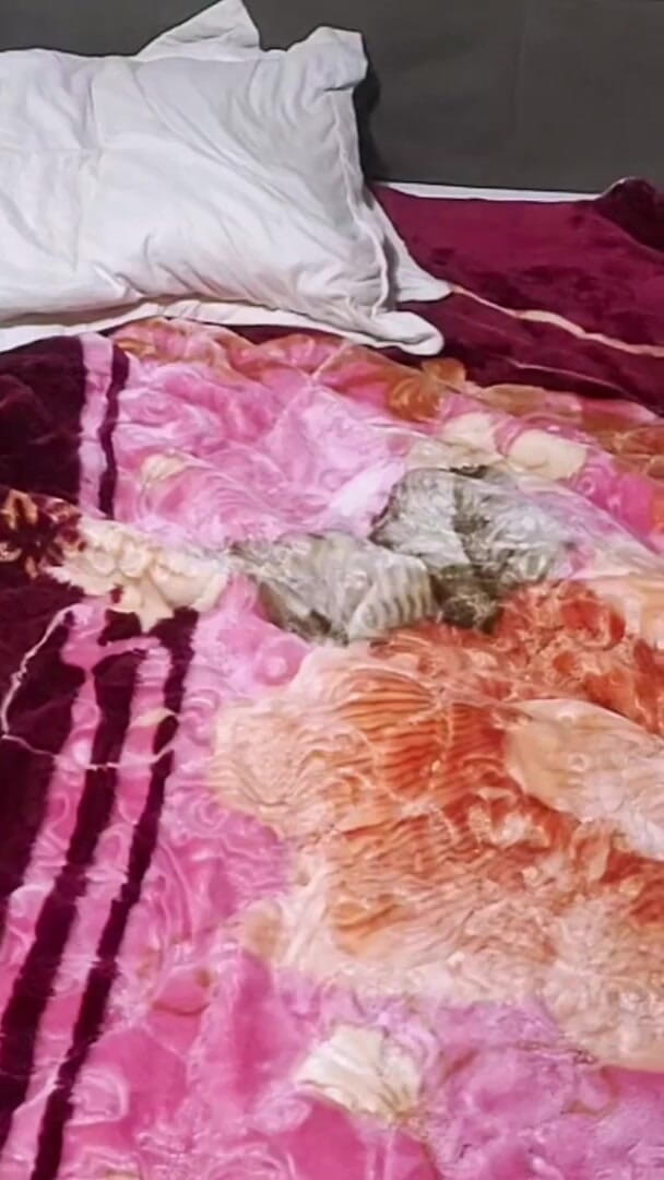 Arab teen: Арабская пара с громкими стонами и оргазмом