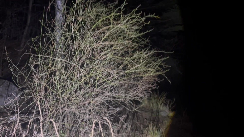 Putarankahotmilf: Nacht wandern und die meisten meiner kleidung ausziehen