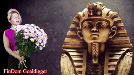 FinDom Goaldigger: VIP敗者paypig権限