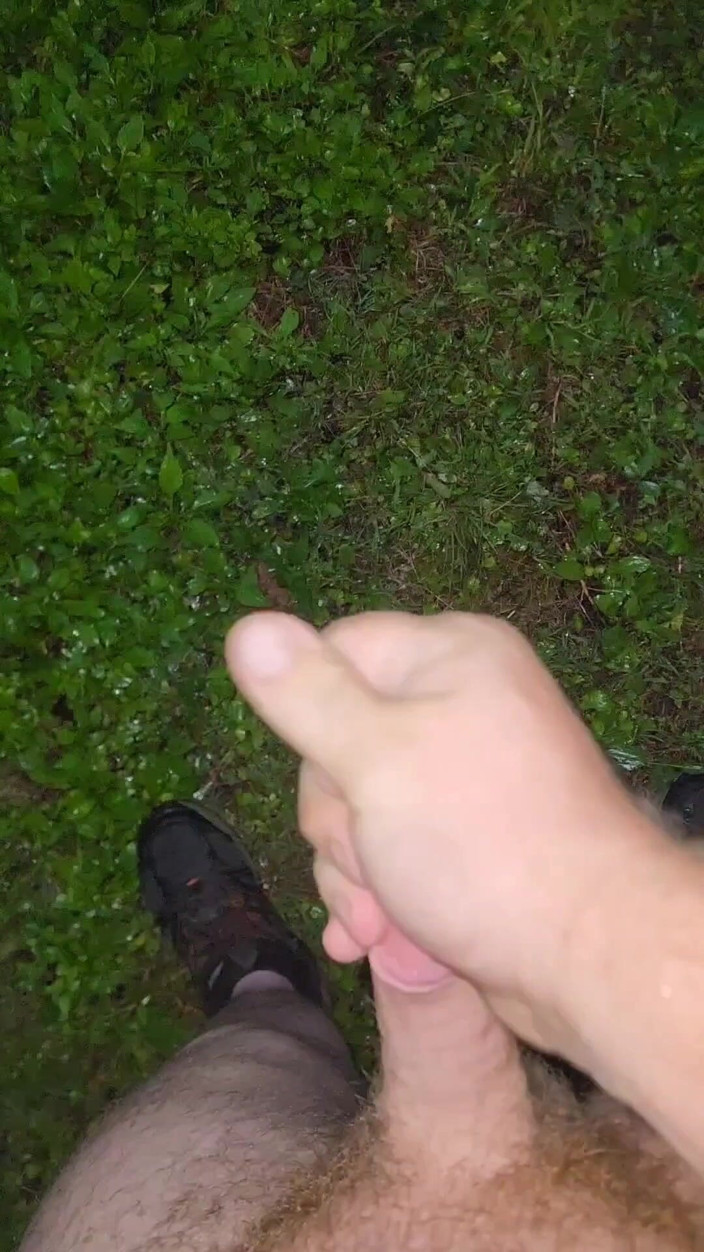 Djk31314: Almost Caught in a Park